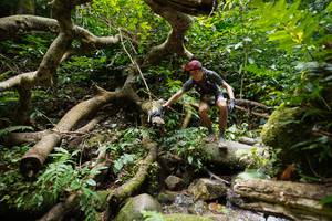 BIB: 
                            <button type="button" onclick="openModal(19407390)" class="btn btn-primary btn-sm float-right btn-popup" data-toggle="modal" data-target=".modal-high-quality">
                        <i class="fas fa-shopping-cart"></i> Add to Cart
                    </button>
                                            <button type="button" onclick="isThisMe(19407390, true)" class="btn btn-success btn-sm float-right btn-popup btn-isme hidden" data-toggle="tooltip" data-placement="bottom" title="นี่คือรูปของคุณใช่ไหม คลิกที่นี่เพื่อเอาเข้าอัลบั้ม">
                        <i class="fas fa-plus"></i> Add to album
                    </button>
                    <button type="button" onclick="isThisMe(19407390, false)" class="btn btn-warning btn-sm float-right btn-popup btn-isnotme hidden">
                        <i class="fas fa-ban"></i> Remove from album
                    </button>